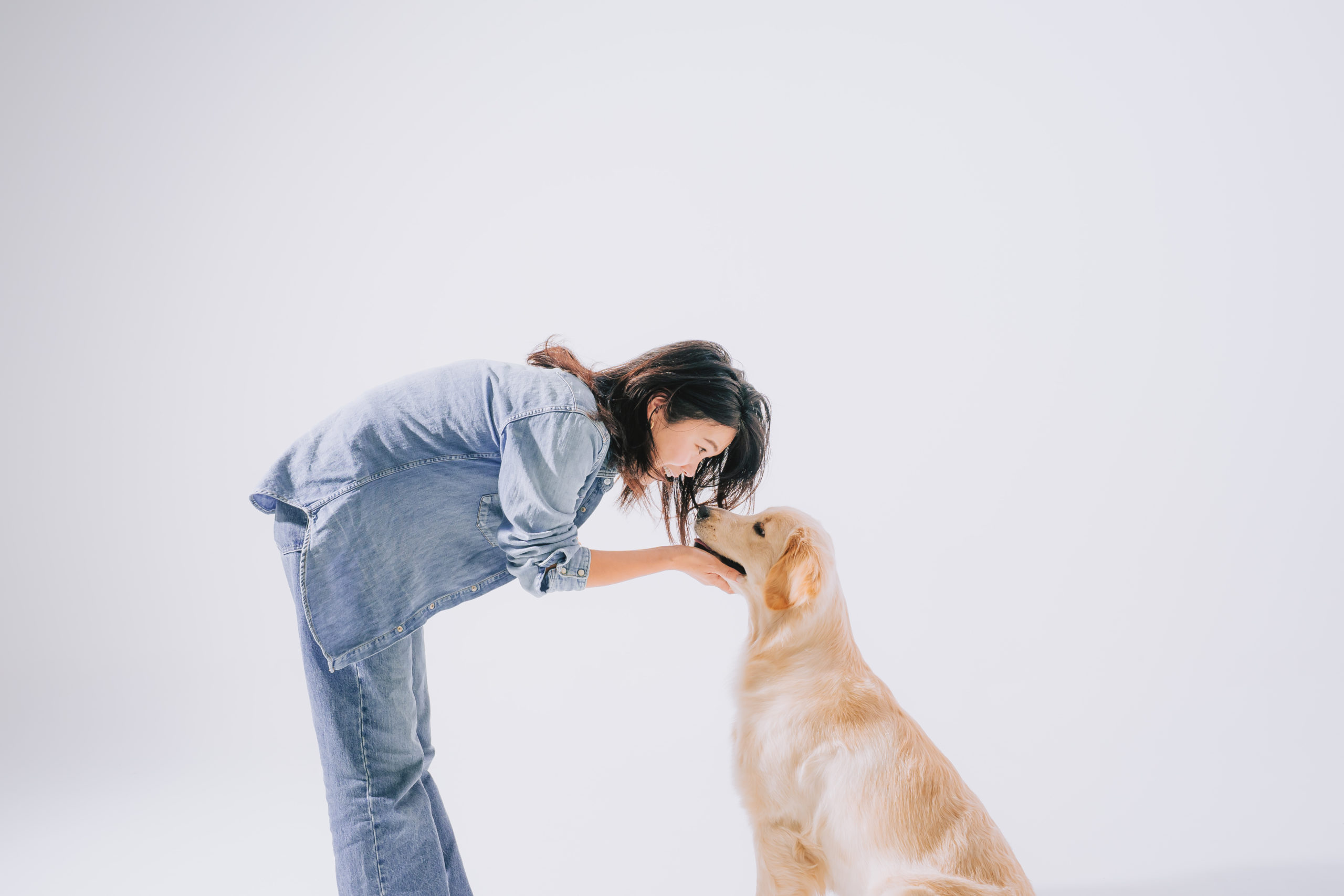 高槻の写真館ROOT/Bで撮影した大型犬記念写真